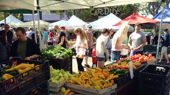 A market with people shopping for vegetables.